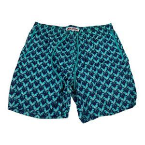 Mr. Swim Men's Bird Print Trunks Beach Shorts Large Mesh Lined